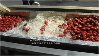 海產(chǎn)品清洗機(jī)器單價(jià) 諸城和義機(jī)械公司 天津海產(chǎn)品清洗機(jī)器圖片